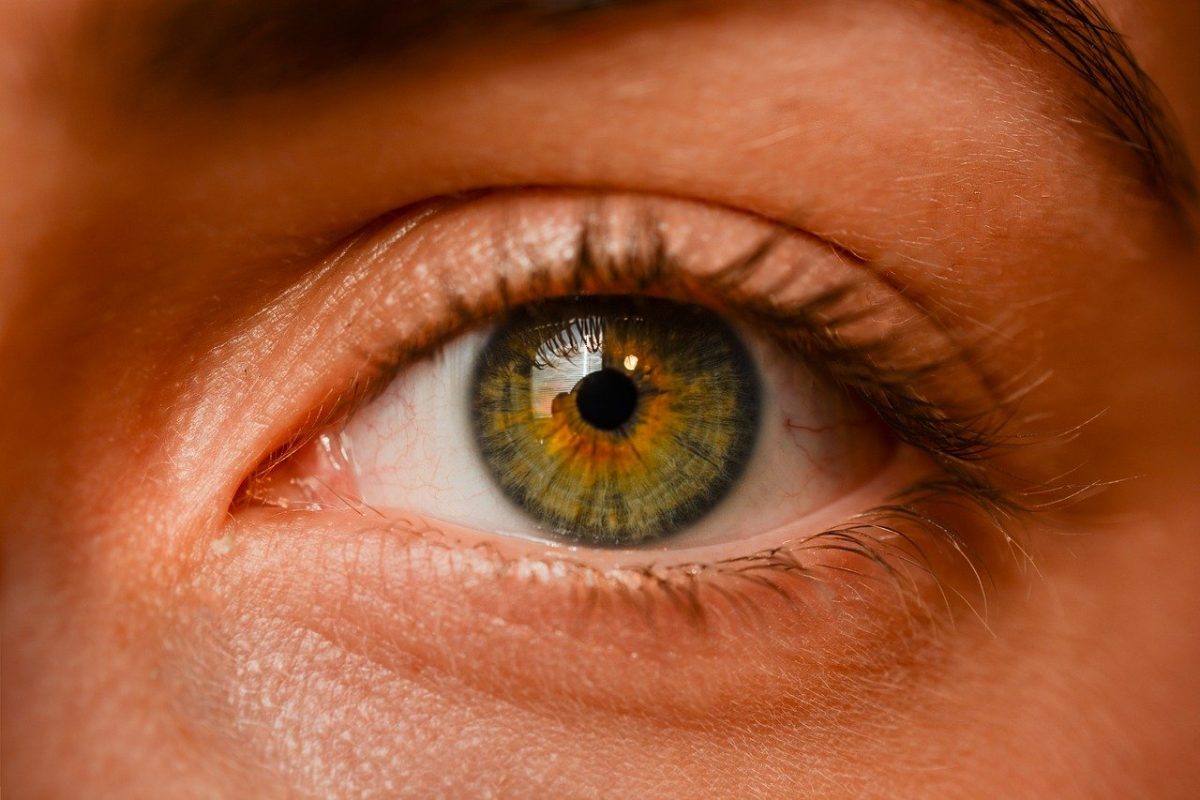 Oczy to niezwykły organ. To naturalnie dzięki nim rozróżniamy.